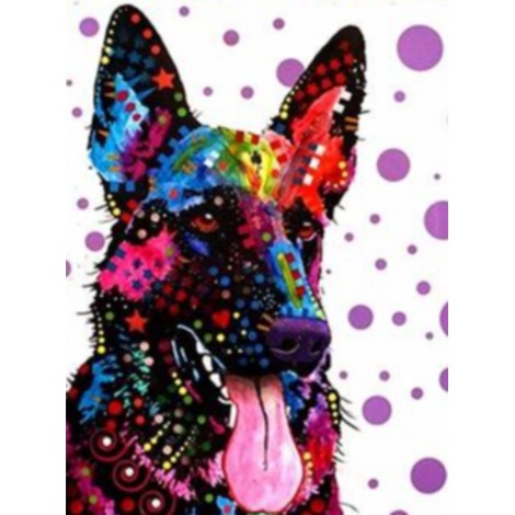 Colourful dog