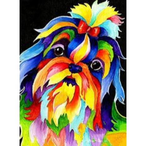 Colourful Shih-Tzu