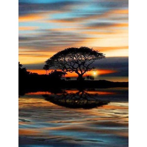 Tree in the sunset