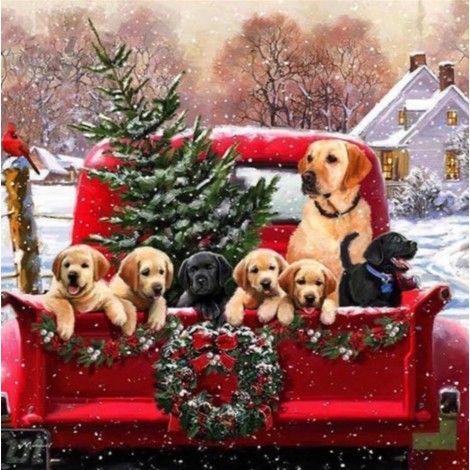 Labrador family