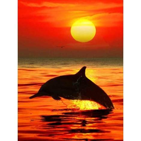 Dolphin in the sea